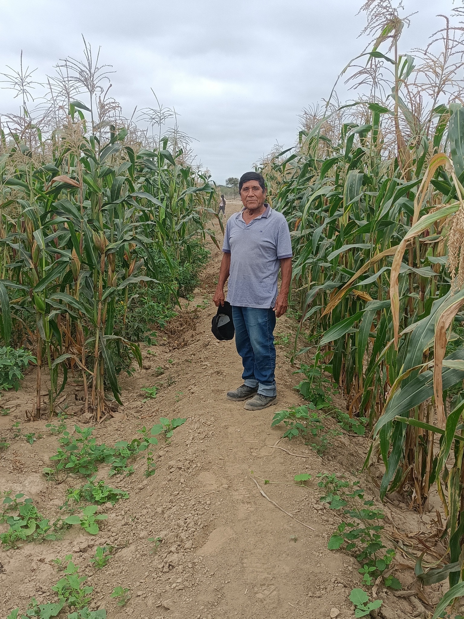 Soy César Céspedes, el Creador de Portal Jesús María